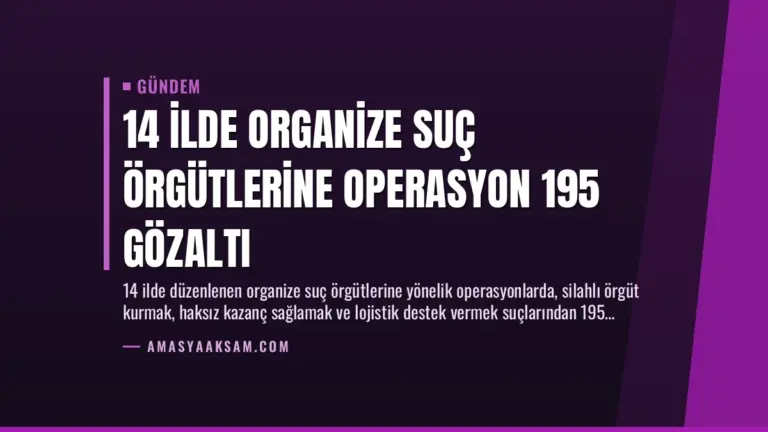 14 İlde Organize Suç Örgütlerine Operasyon 195 Gözaltı
