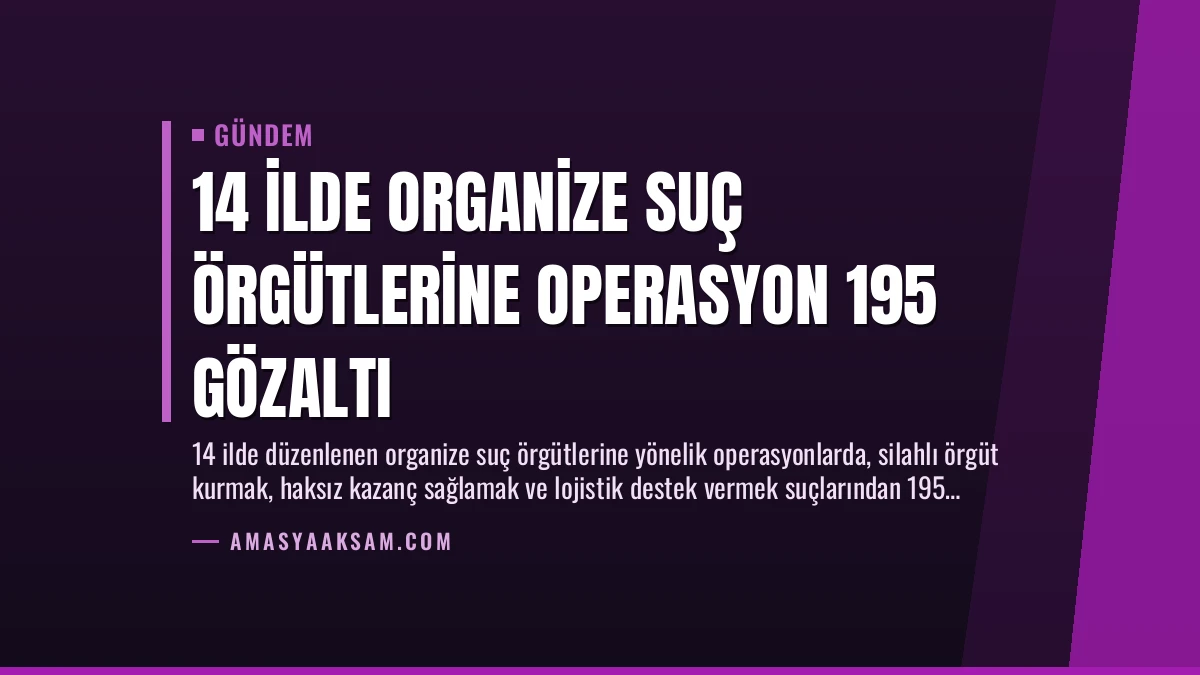 14 İlde Organize Suç Örgütlerine Operasyon 195 Gözaltı