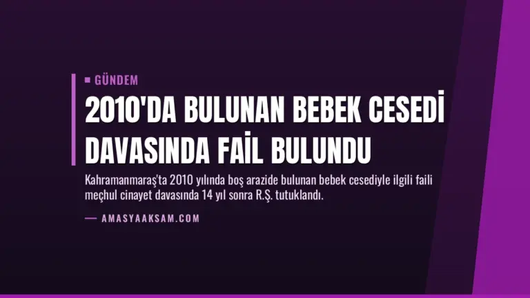 2010'da Bulunan Bebek Cesedi Davasında Fail Bulundu