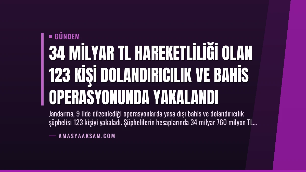 34 Milyar TL Hareketliliği Olan 123 Kişi Dolandırıcılık ve Bahis Operasyonunda Yakalandı