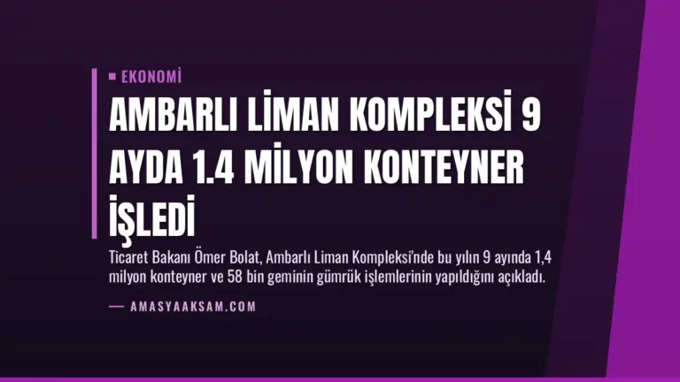 Ambarlı Liman Kompleksi 9 Ayda 1.4 Milyon Konteyner İşledi