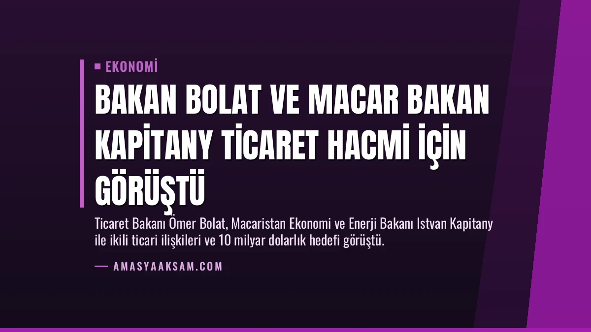 Bakan Bolat ve Macar Bakan Kapitany Ticaret Hacmi İçin Görüştü