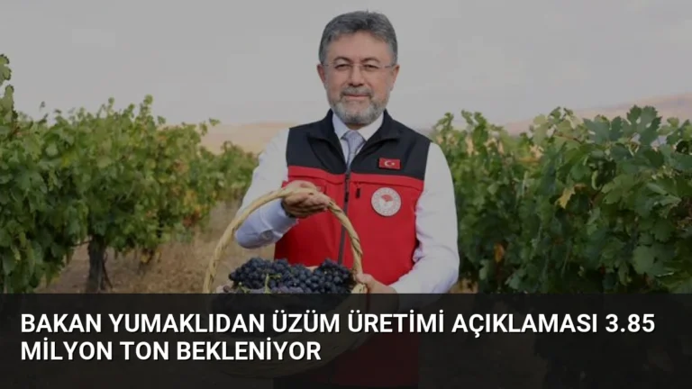 Bakan Yumaklıdan Üzüm Üretimi Açıklaması 3.85 Milyon Ton Bekleniyor