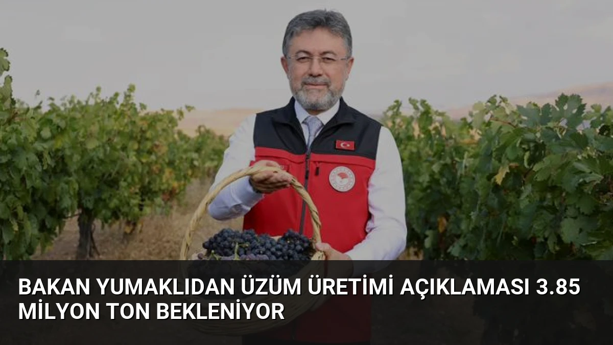Bakan Yumaklıdan Üzüm Üretimi Açıklaması 3.85 Milyon Ton Bekleniyor