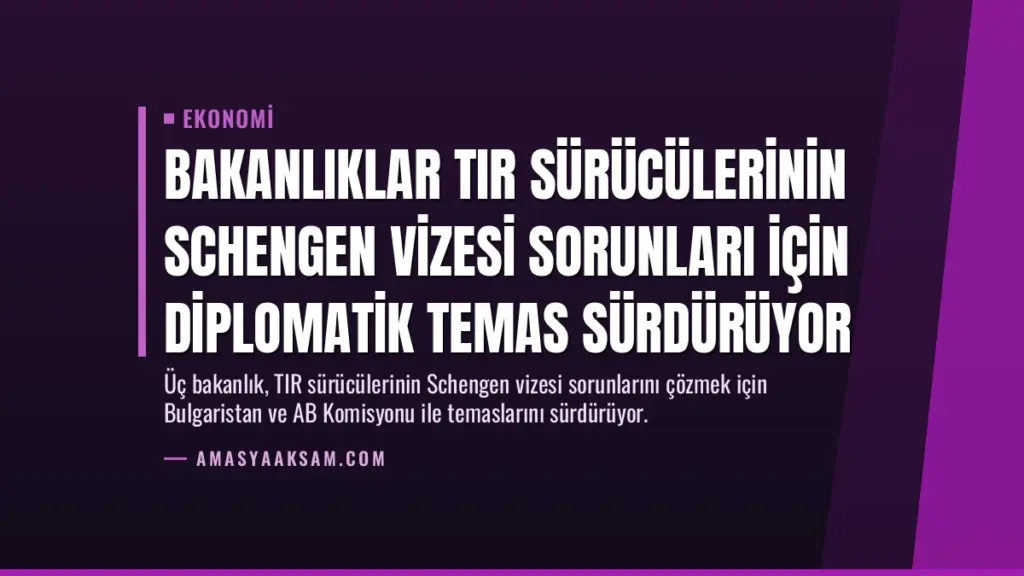 Bakanlıklar TIR Sürücülerinin Schengen Vizesi Sorunları İçin Diplomatik Temas Sürdürüyor