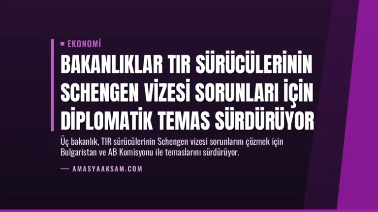 Bakanlıklar TIR Sürücülerinin Schengen Vizesi Sorunları İçin Diplomatik Temas Sürdürüyor