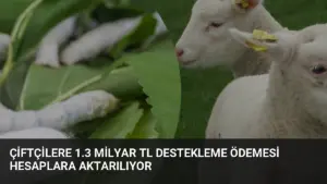 Çiftçilere 1.3 Milyar TL Destekleme Ödemesi Hesaplara Aktarılıyor