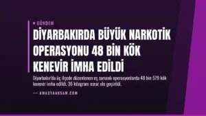 Diyarbakırda Büyük Narkotik Operasyonu 48 Bin Kök Kenevir İmha Edildi