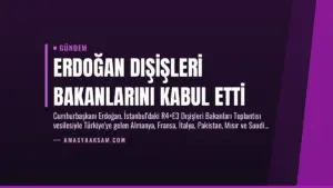 Erdoğan Dışişleri Bakanlarını Kabul Etti
