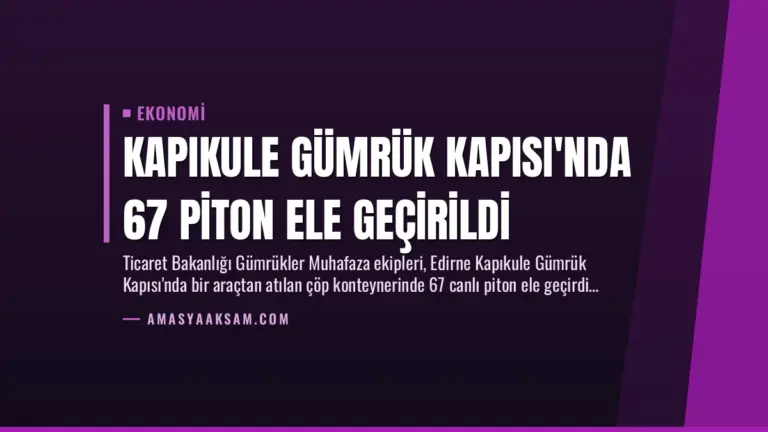 Kapıkule Gümrük Kapısı’nda 67 Piton Ele Geçirildi