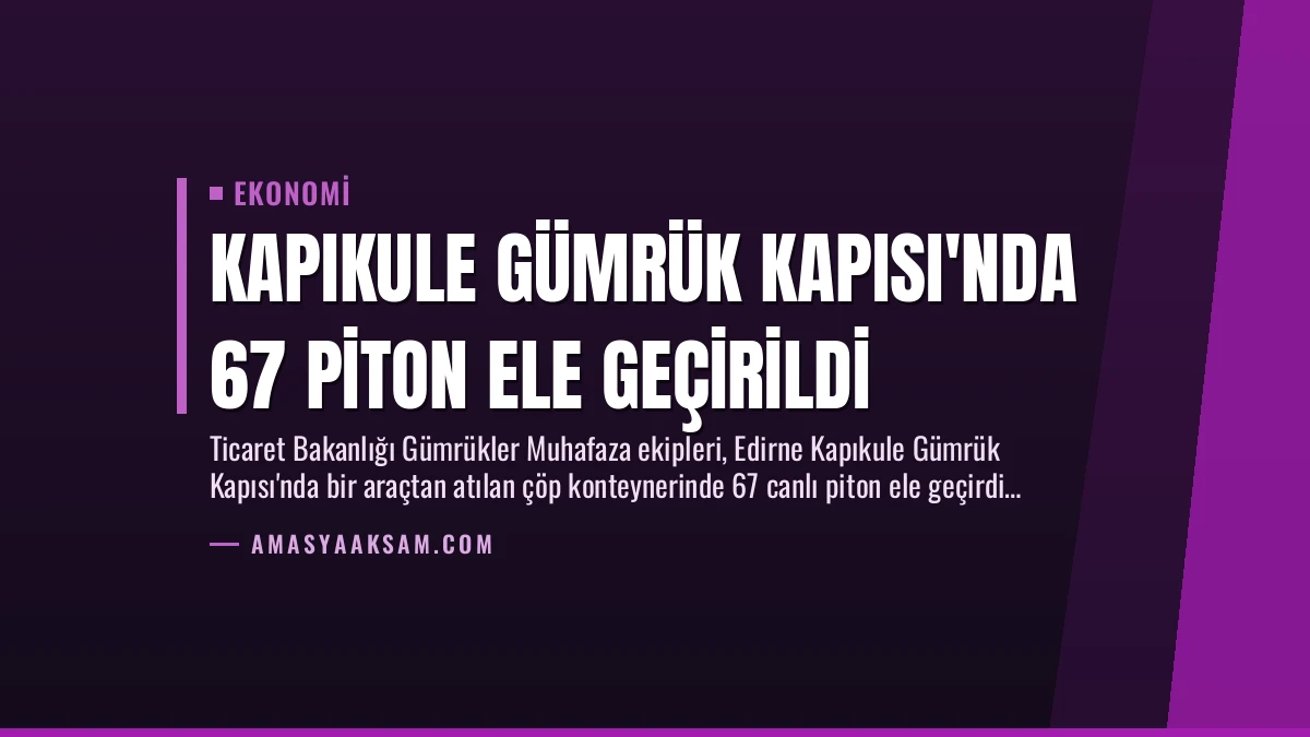 Kapıkule Gümrük Kapısı’nda 67 Piton Ele Geçirildi