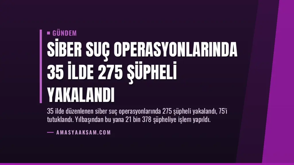 Siber Suç Operasyonlarında 35 İlde 275 Şüpheli Yakalandı