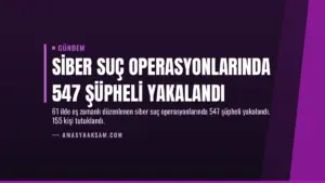 Siber Suç Operasyonlarında 547 Şüpheli Yakalandı