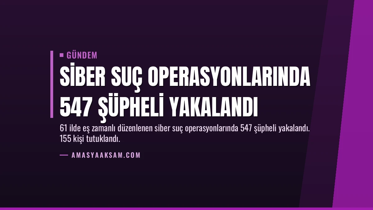 Siber Suç Operasyonlarında 547 Şüpheli Yakalandı