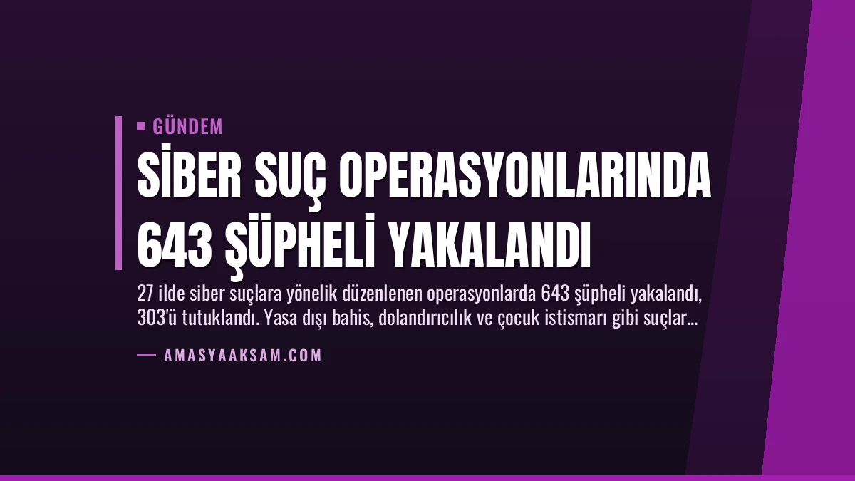 Siber Suç Operasyonlarında 643 Şüpheli Yakalandı