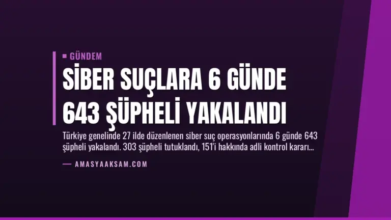 Siber Suçlara 6 Günde 643 Şüpheli Yakalandı
