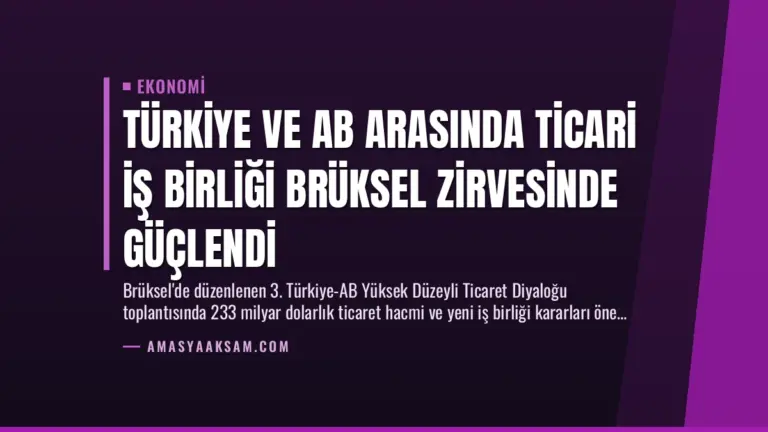 Türkiye ve AB Arasında Ticari İş Birliği Brüksel Zirvesinde Güçlendi