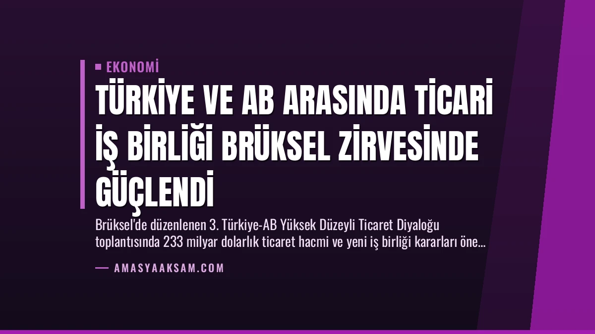 Türkiye ve AB Arasında Ticari İş Birliği Brüksel Zirvesinde Güçlendi