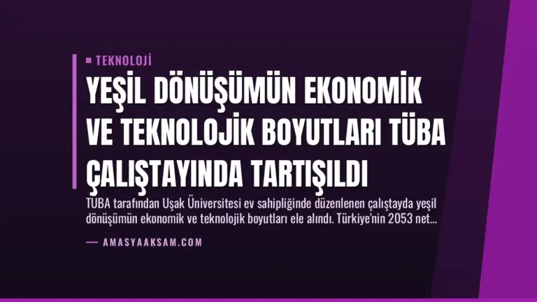 Yeşil Dönüşümün Ekonomik ve Teknolojik Boyutları TÜBA Çalıştayında Tartışıldı