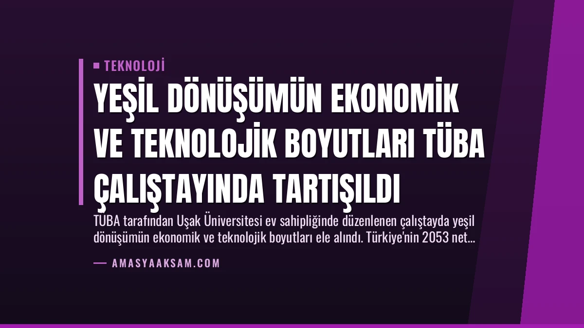 Yeşil Dönüşümün Ekonomik ve Teknolojik Boyutları TÜBA Çalıştayında Tartışıldı